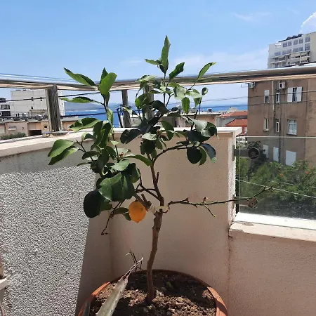 Apartament Blue Fish Saranda