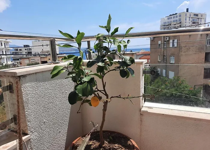 Daire Blue Fish Saranda Apartment Saranda